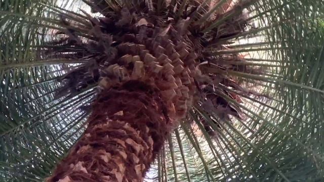 Курсы флориста смотреть онлайн