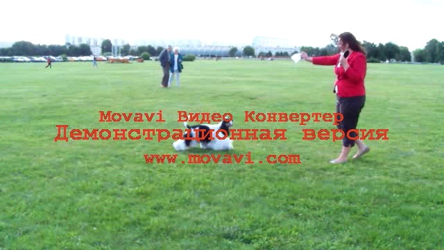 Let`s play:) смотреть онлайн