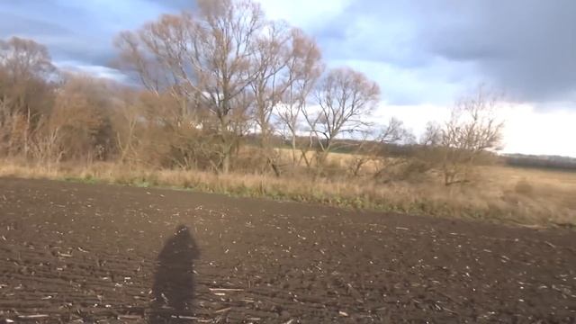 НЕОБЫЧНО! НАХОДКИ СТАРОЙ ОДНОДВОРКИ! смотреть онлайн