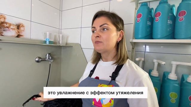 Мытье Американского кокер спаниеля и  и укладка шерсти. Грумер года 2016 Дарья Гоц и Groom Galaxy