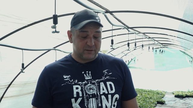 Как вырастить сладкую и сочную клубнику| Фермерское дело смотреть онлайн