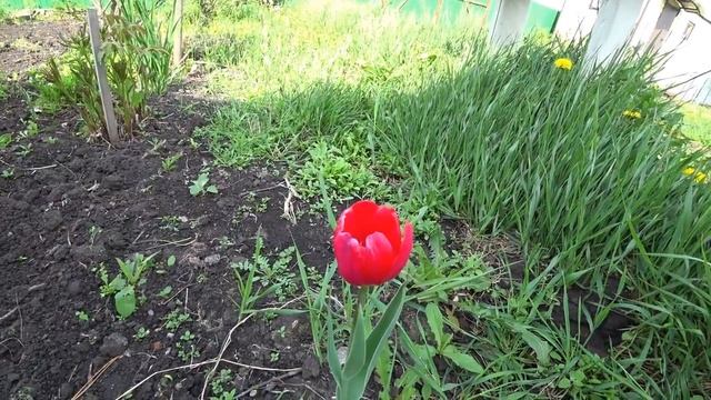 экшен камера Сони Х 3000 смотреть онлайн