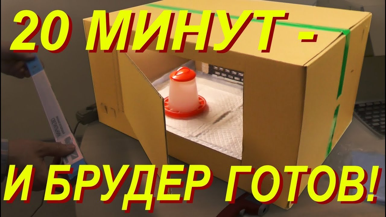 НЕ НАДО НИЧЕГО ИЗОБРЕТАТЬ! ВОТ ГОТОВЫЙ НАБОР ДЛЯ САМОДЕЛЬНОГО БРУДЕРА.mp4 смотреть онлайн