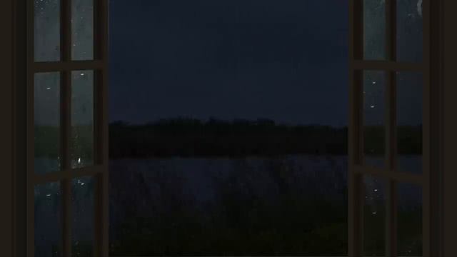 Inspire Sleep with The Sound of Rain & Thunder - 30 minutes Open Window Rain Sounds for Sleep смотреть онлайн