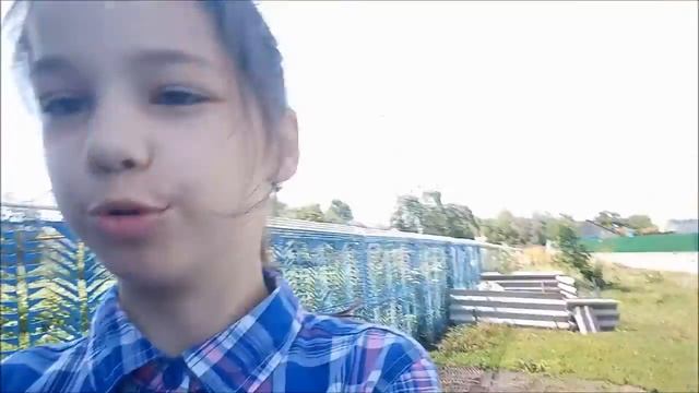 Как мы ловили сбежавшую собаку смотреть онлайн