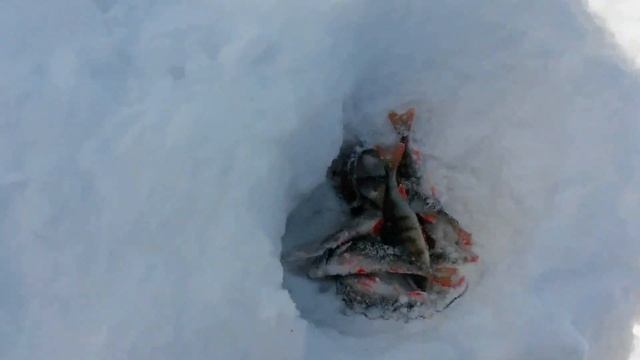 #2 Короткий выезд смотреть онлайн