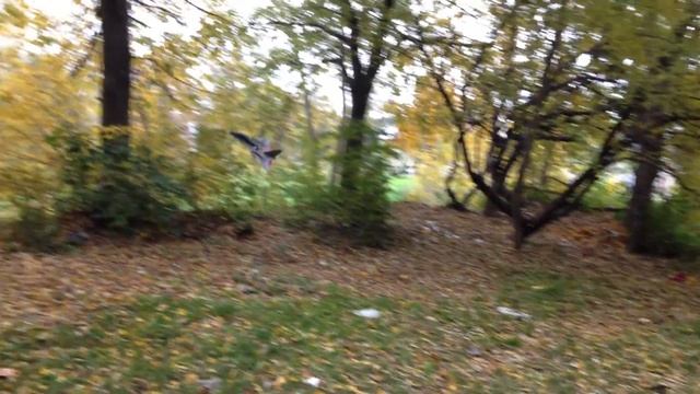 самолет из потолочки смотреть онлайн