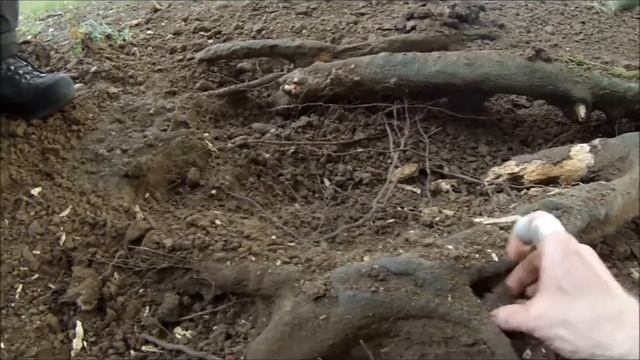 Merip Beech Investigation