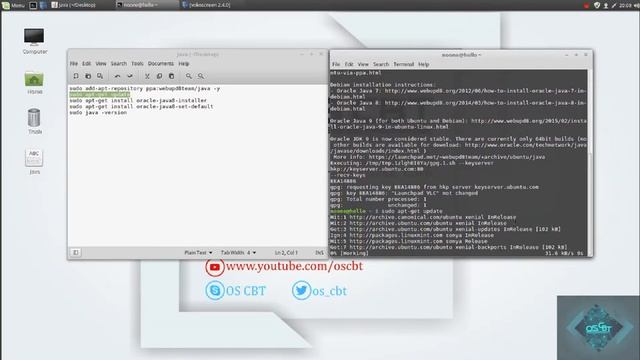 How to install Java in Ubuntu / Linux Mint 18 Urdu / Hindi смотреть онлайн