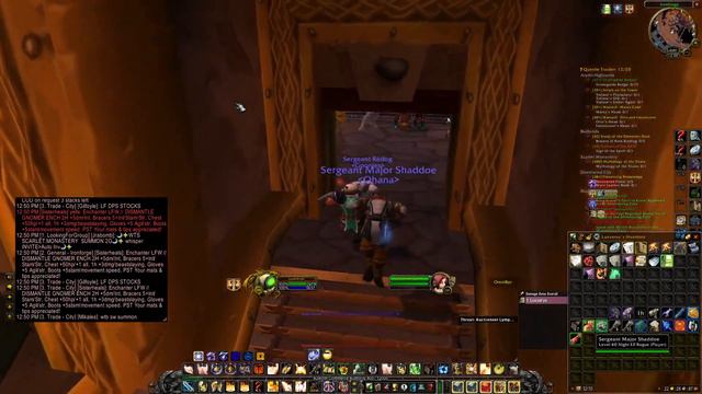 HOW TO BRING AN EXTRA GNOMEREGAN WORLDBUFF TO YOUR RAID | SoD Classic WoW