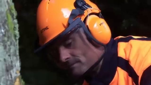 STIHL MS 661 C-M | Chainsaw Cutting-edge technology | That's why смотреть онлайн