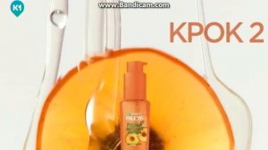 Garnier Fructis