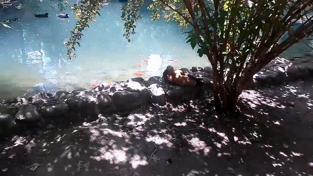 Этнопарк украинское село. Киевская область. смотреть онлайн