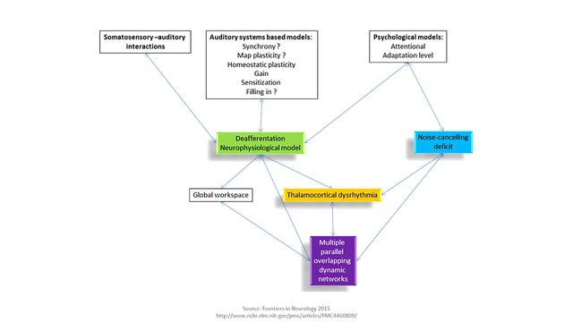 Visual Snow Syndrome and Its Relationship to Tinnitus смотреть онлайн