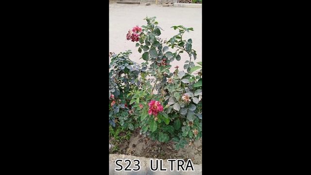 Huawei P60 Pro Vs Samsung galaxy S23 Ultra| Camera Test смотреть онлайн