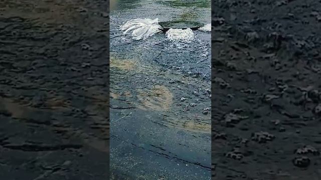 После грозы #Вода, #Стихии, #СоРОкопутка смотреть онлайн