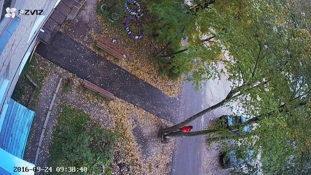 EZVIZ C3S день, пасмурно смотреть онлайн