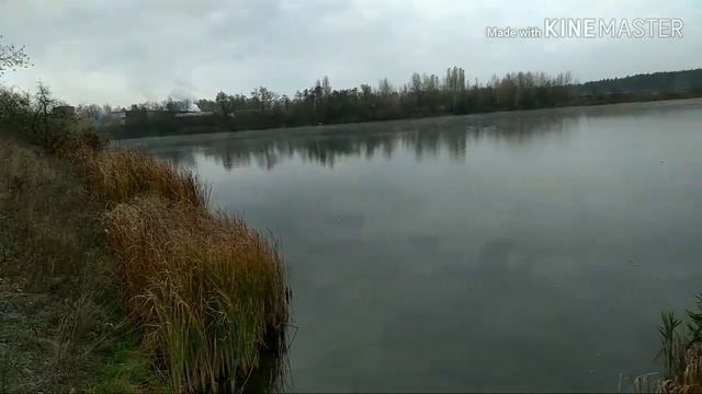 Ловля щуки на кружки 2019. смотреть онлайн