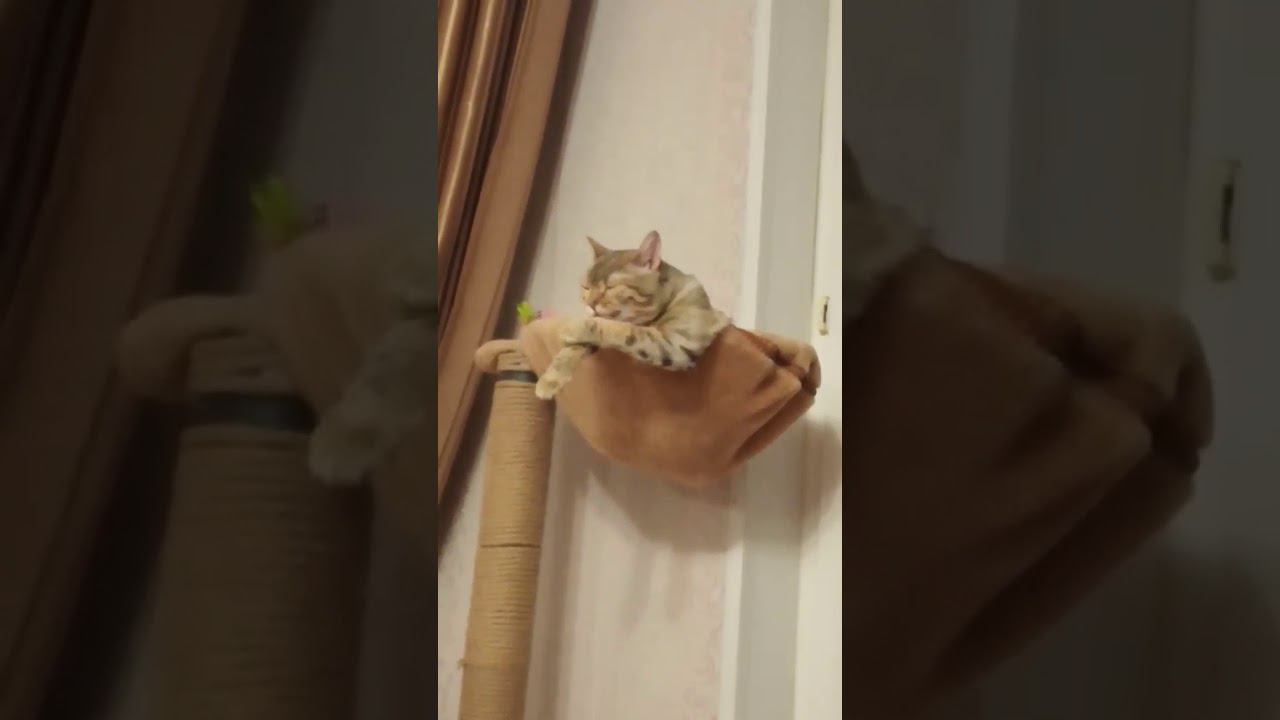 5 марта 2020 г. смотреть онлайн