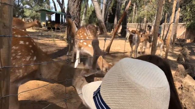 Парк Сама. Park Sama, 2019 Spain смотреть онлайн