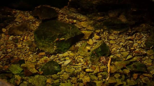 «Наша фишка» — Шемышейский район. Часть 2