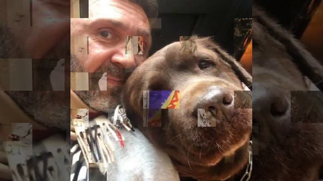 Ленинград. Терминатор.#сергейшнуров#шнуров#ленинград#шнур