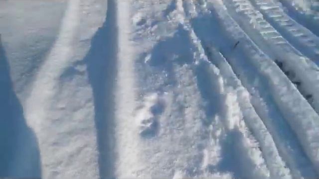 Skidoo Expedition 4 stroke: Break in period. смотреть онлайн