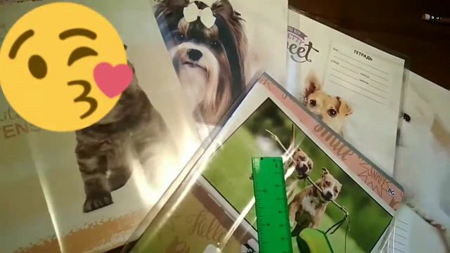 Канцелярия в 6класс🤗🤗🤗. Первое видео на ЮТУБЕ