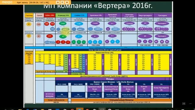 Маркетинг  Vertera