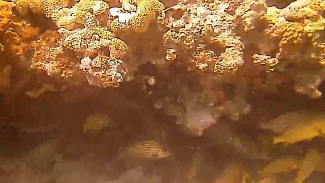 Scuba Diving, Cayo Coco, Cuba