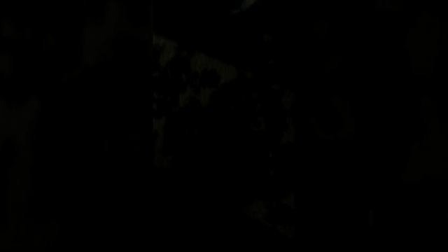 Кошка носится за мокрым хвостом!!) Часть 1. смотреть онлайн