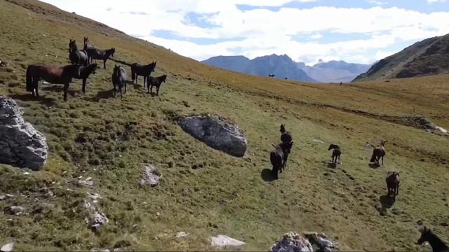 Красота ! Суканское ущелье. Моя Кабардино-Балкария. Нашид - Родина. смотреть онлайн