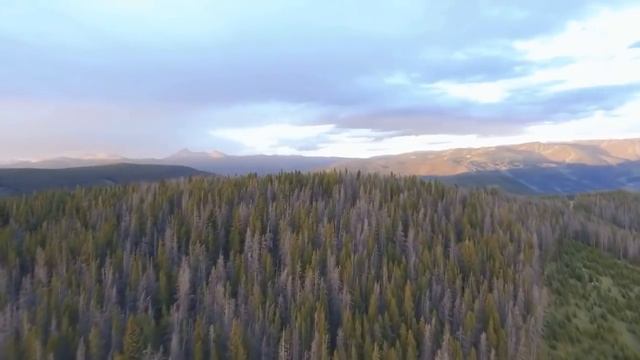 Во время бурного праздника в больницу поступила красивая девушка с переломом и начала ругаться смотреть онлайн