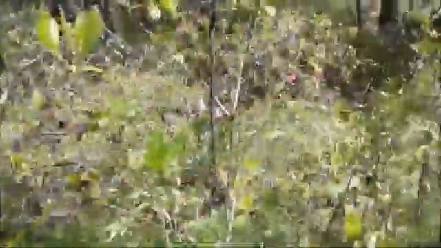 Путешествие по Бурятии 6 серия" Озеро Байкал" смотреть онлайн