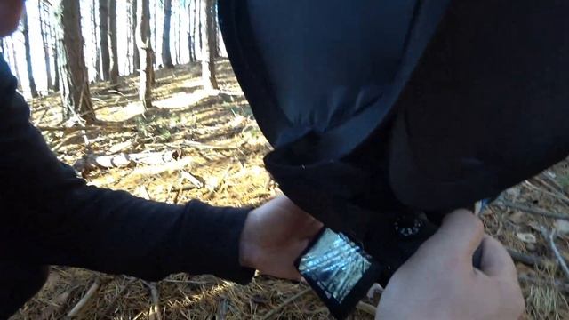 Фотографируем в лесу смотреть онлайн