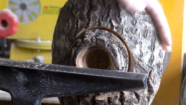 ТОРЦЕВАЯ МОЗАИКА НА ГНИЛОЙ ОСИНЕ смотреть онлайн