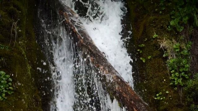 Viaje en el TREN del FIN DEL MUNDO en Ushuaia, Argentina ?? (Ferrocarril Austral Fueguino) смотреть онлайн