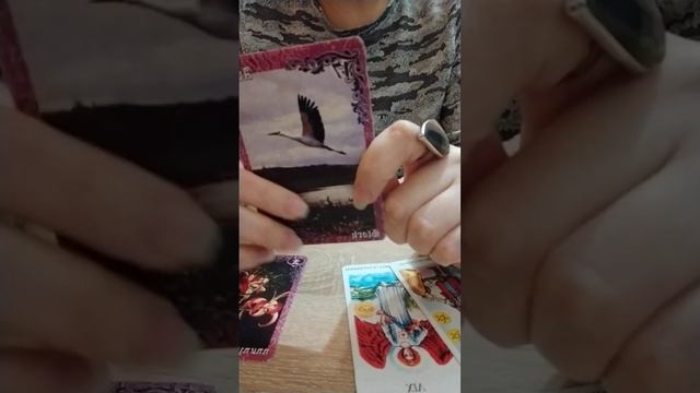 Какой вас сейчас видит ваше окружение? ????? Таро гадание ✨ смотреть онлайн