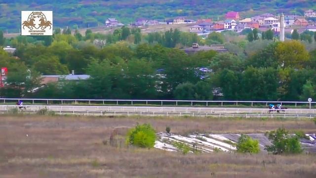 25.09.2022 - Приз "Эверды Телеке" на лошадях 2-х лет ахалтекинской породы - Балкай-Шах смотреть онлайн