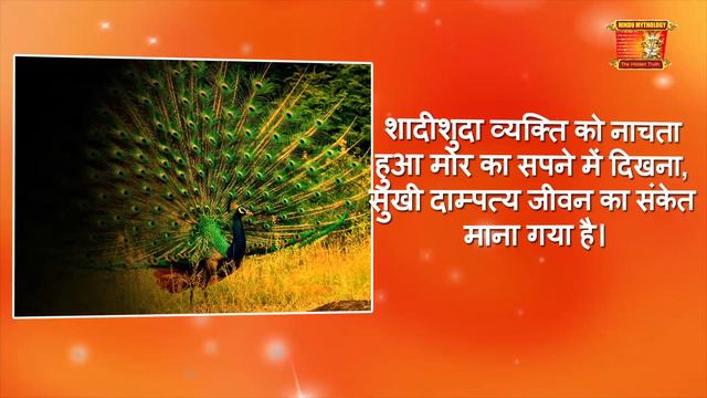 सपनों में पक्षी देखने का मतलब | Sapne Me Bird Dekhne Ka Matlab смотреть онлайн