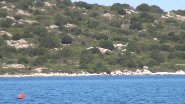 Дикие Пляжи Сардинии.Sardegna Spiaggia Liscia beach смотреть онлайн