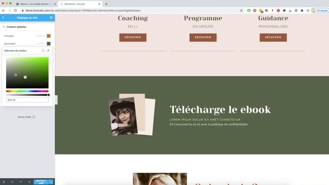 Changer les couleurs d'un Template kit Elementor WordPress de Liw studio смотреть онлайн