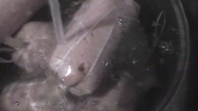 Интересные Факты и Загадки