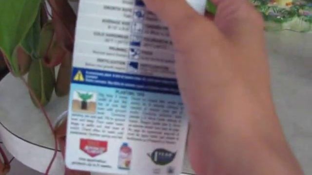 My first Nepenthes Ventrata смотреть онлайн