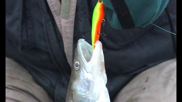 Тяжёлый джиг и троллинг на Волге смотреть онлайн