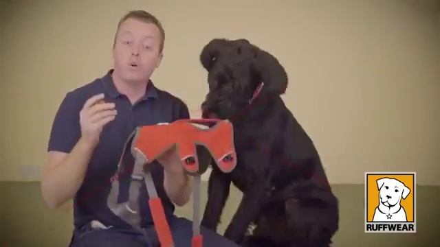 Ruffwear Web Master Harness Key Features and Sizing смотреть онлайн