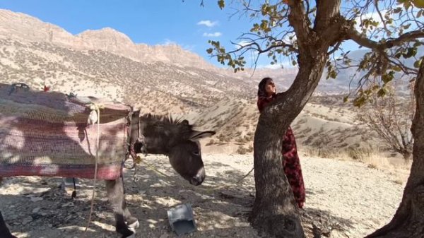 nomadic woman has hope for life:this time her mother's help to get a carpet heater for a warm life