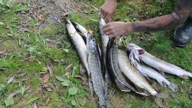 на рыбалке....ловлю на кружки.... смотреть онлайн