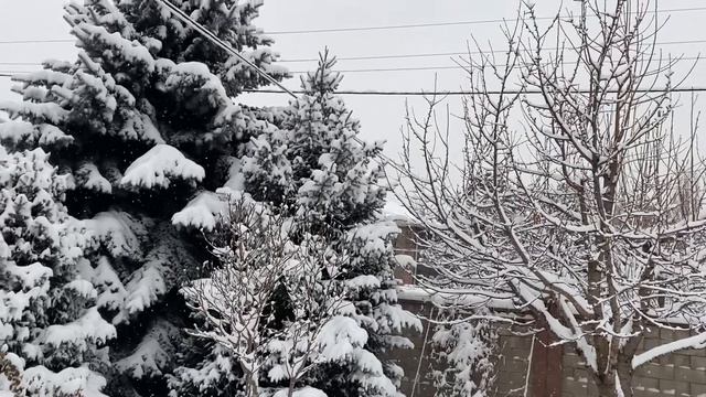 Доброе утро!!! смотреть онлайн