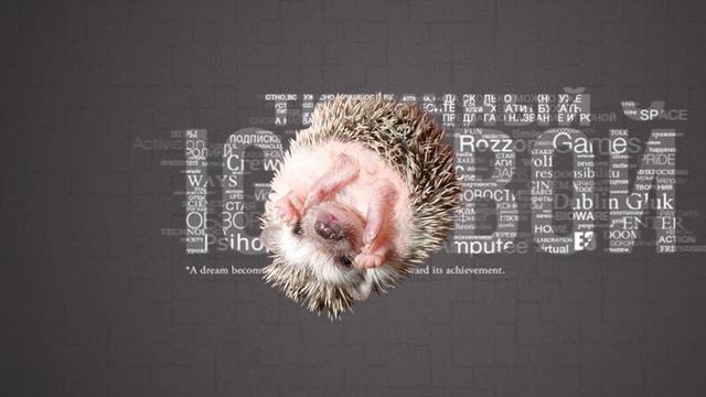 ВЕЧНОЕ СИЯНИЕ ЧИСТОГО ЗАШКВАРА смотреть онлайн